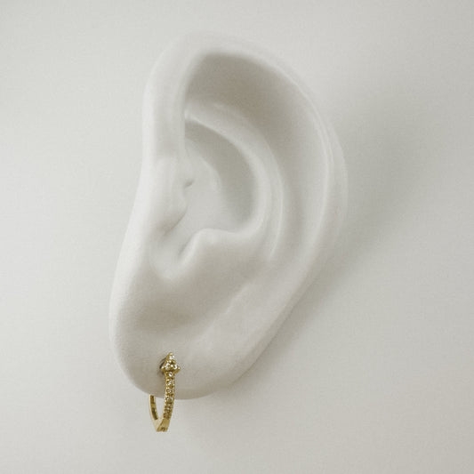 Chic & Lucky Earrings